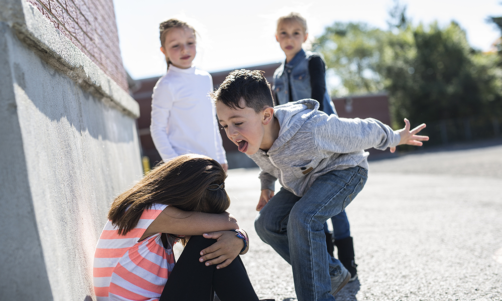 Webinaire 2 - Comprendre et prevenir le harcelement scolaire - Isabelle Roskam